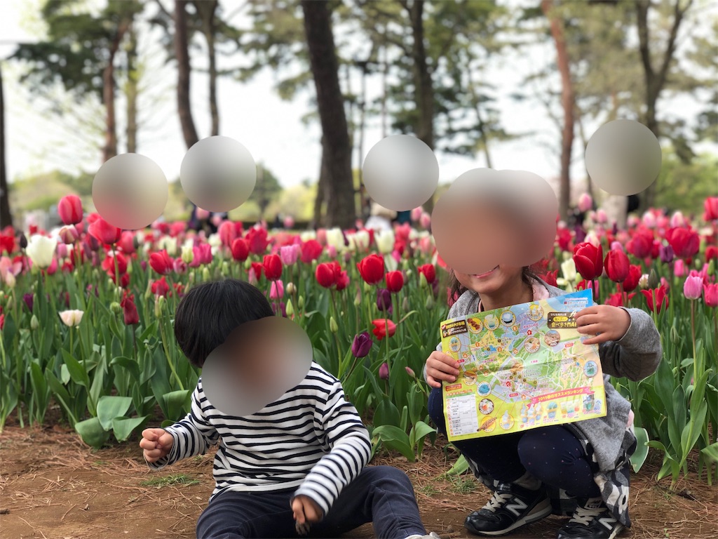 f:id:genko-library:20190424053658j:image