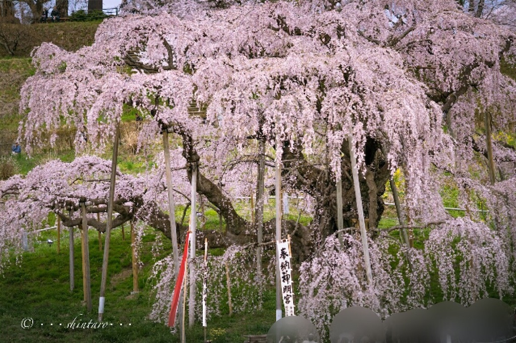 f:id:genko-library:20190424211727j:image