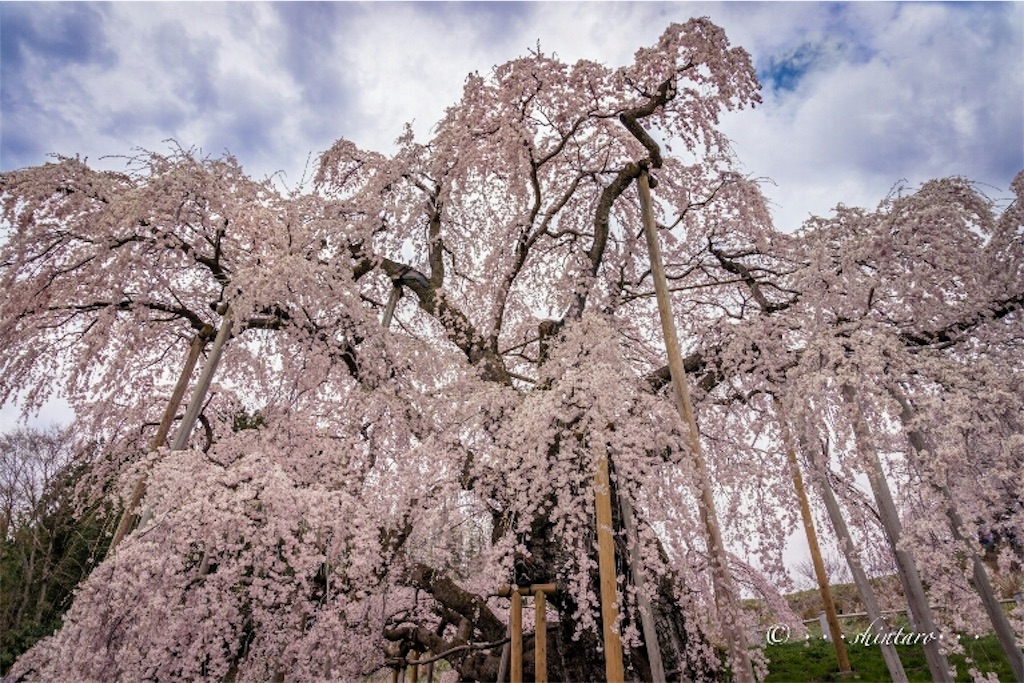 f:id:genko-library:20190424211741j:image