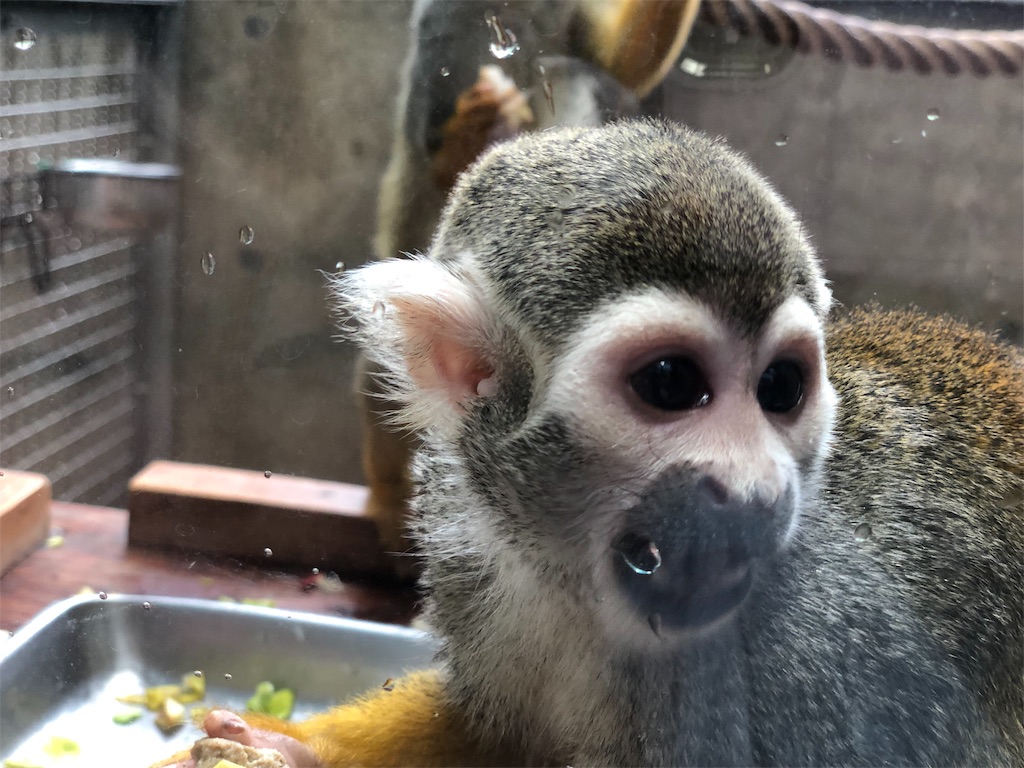 Gwに行った足立区生物園は親も子も大満足 本のある暮らし