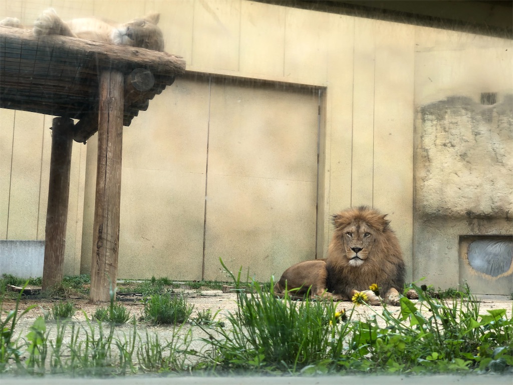 f:id:genko-library:20190506054843j:image