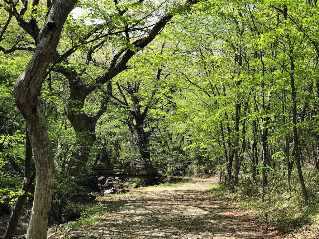 f:id:genko-library:20190507052624j:image