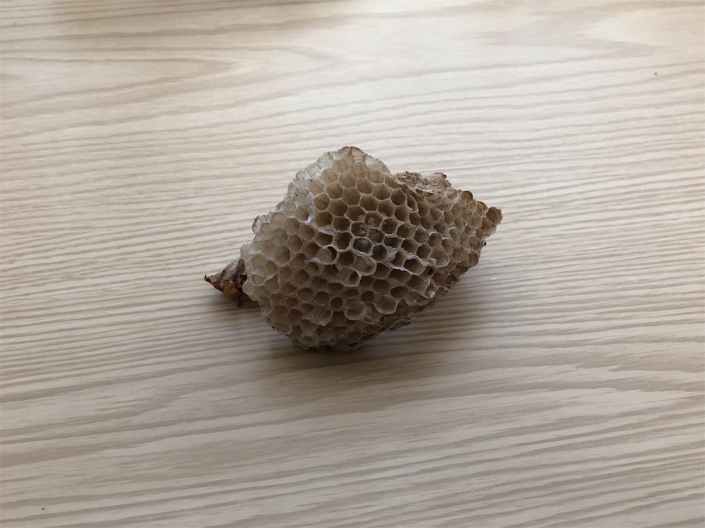 f:id:genko-library:20190507052723j:image