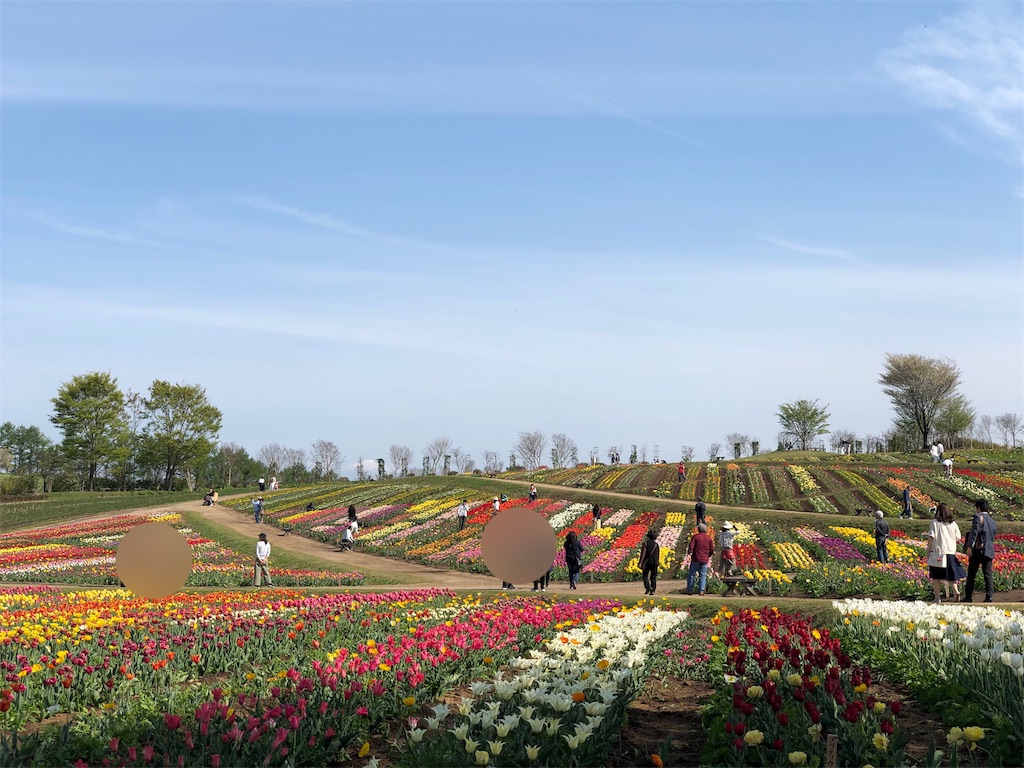 f:id:genko-library:20190507052747j:image