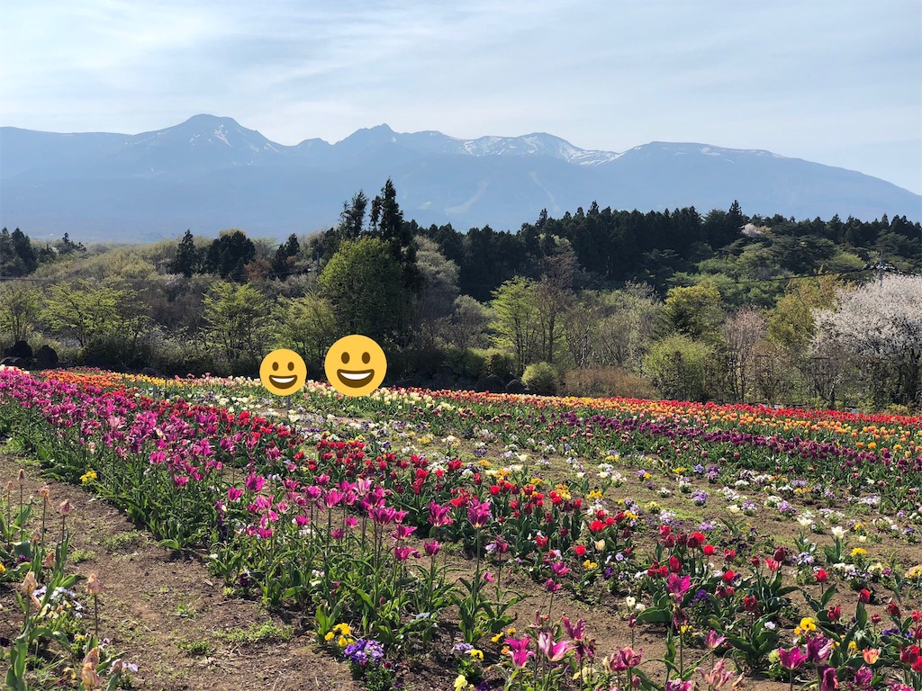 f:id:genko-library:20190507052822j:image