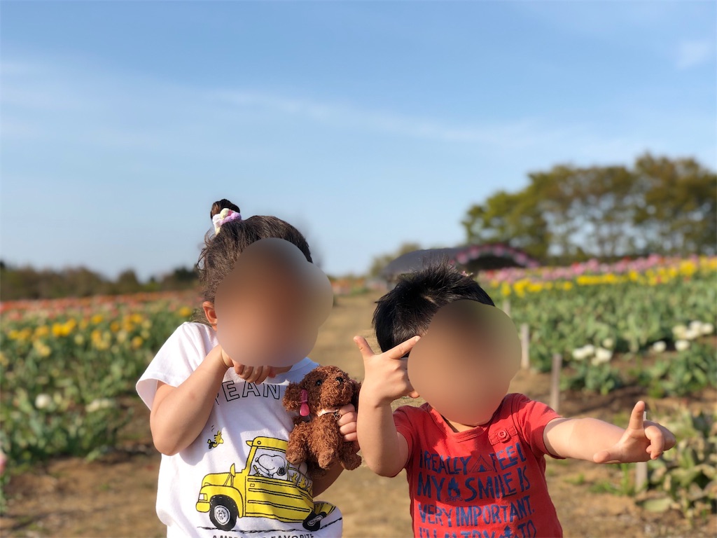 f:id:genko-library:20190507052935j:image