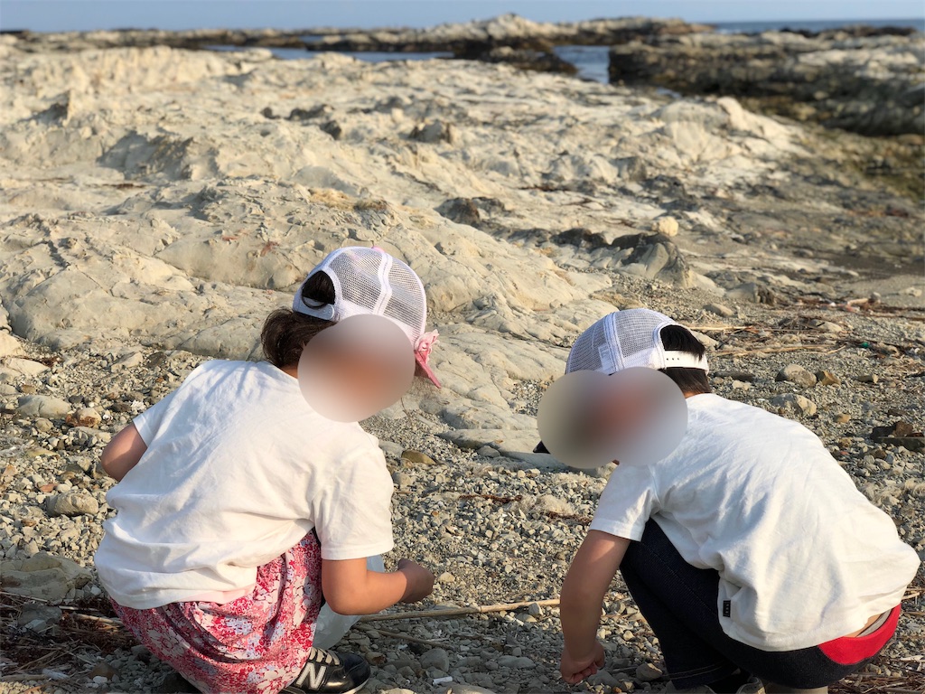 f:id:genko-library:20190513054258j:image