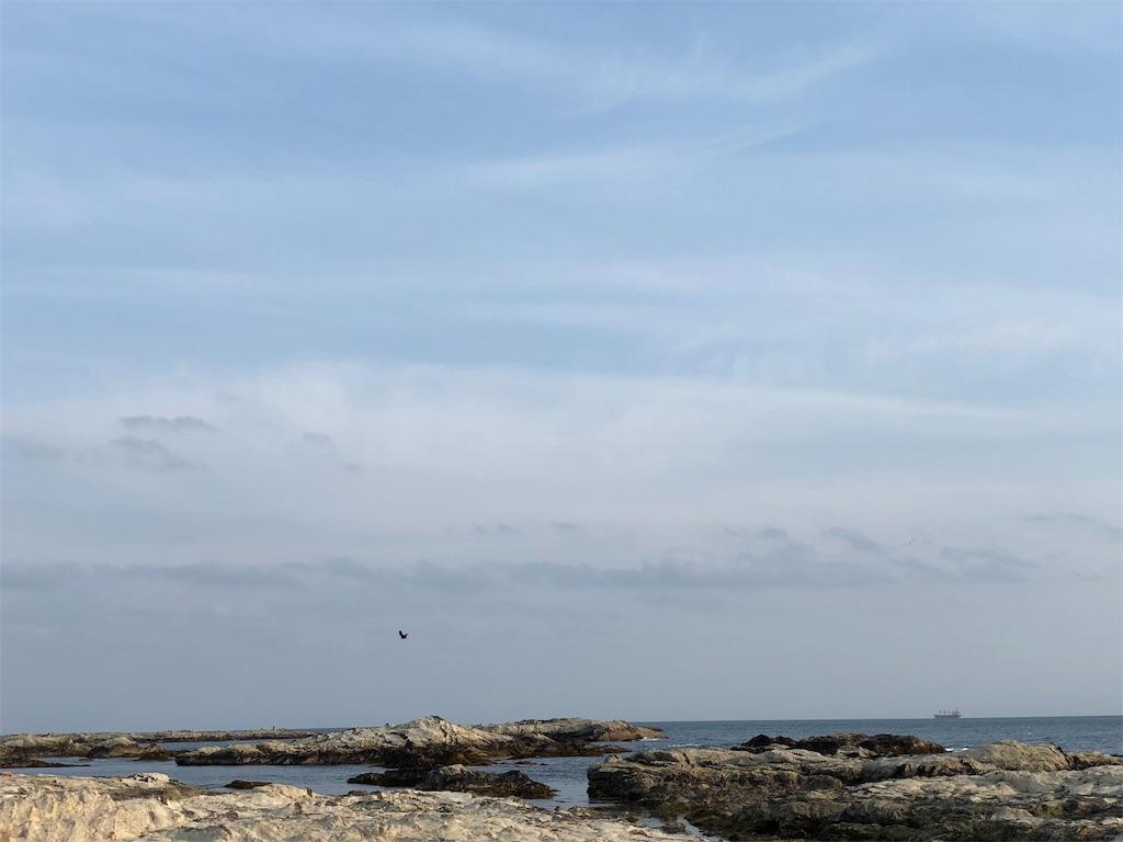 f:id:genko-library:20190513054321j:image