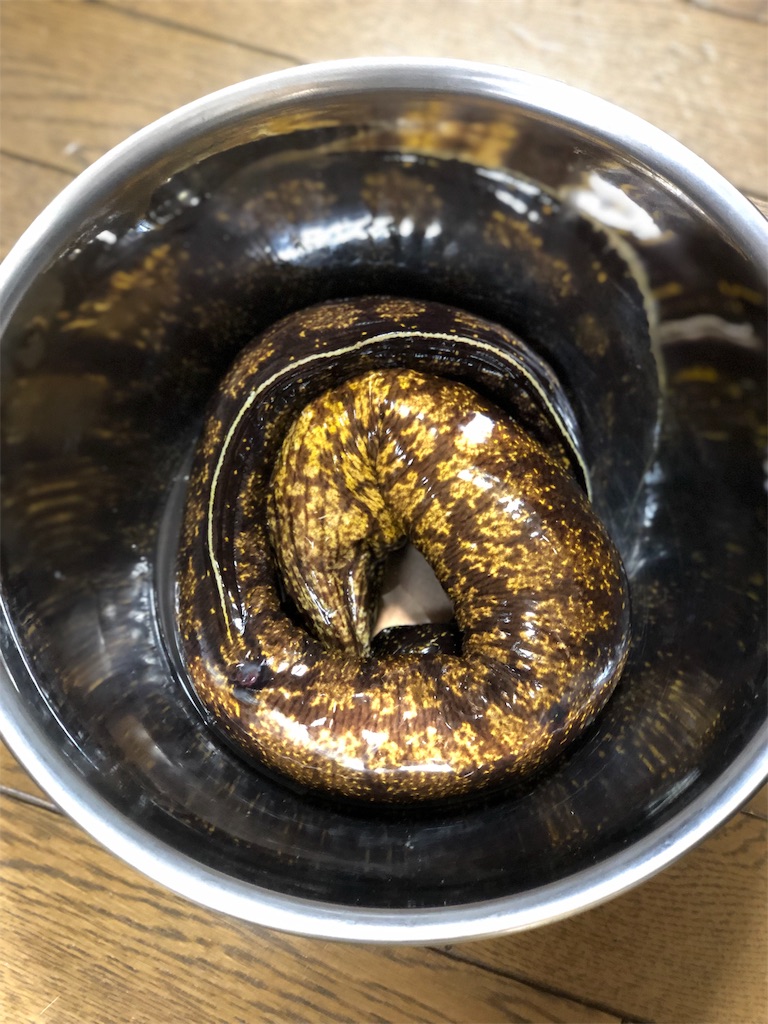 f:id:genko-library:20190514233959j:image