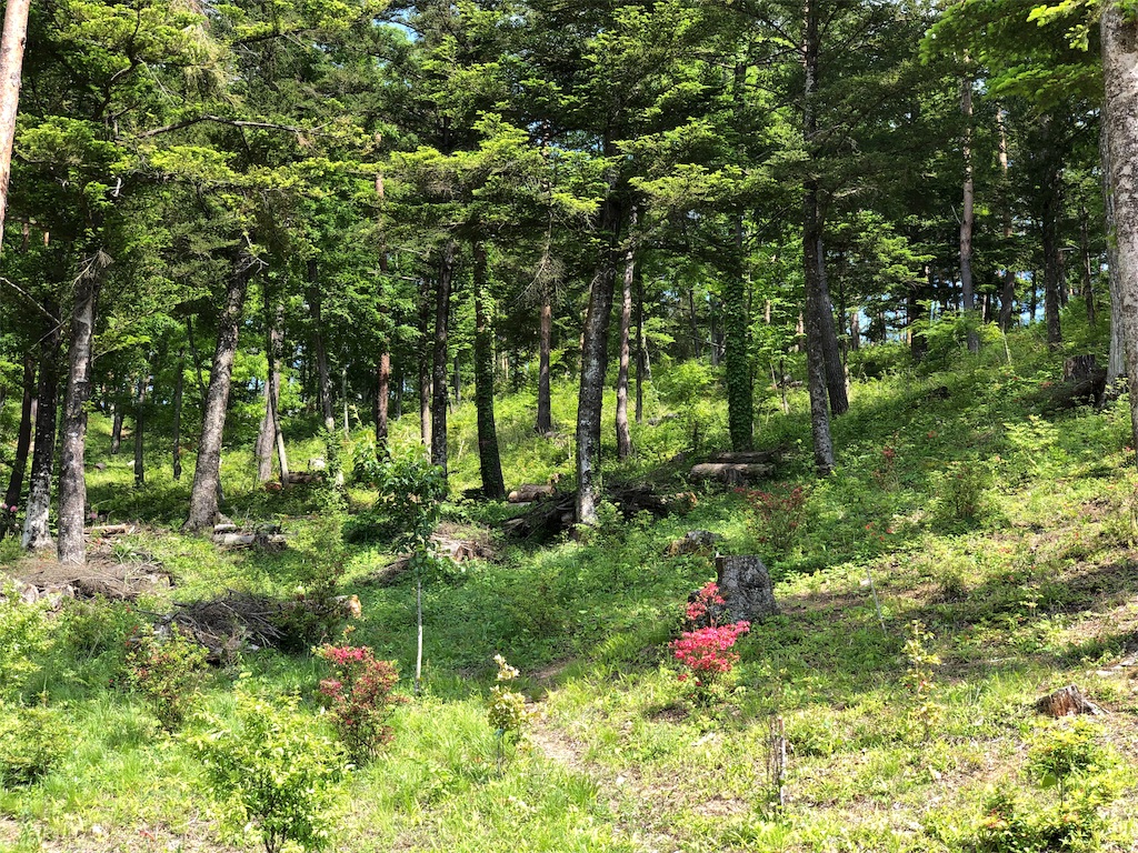 f:id:genko-library:20190520054833j:image