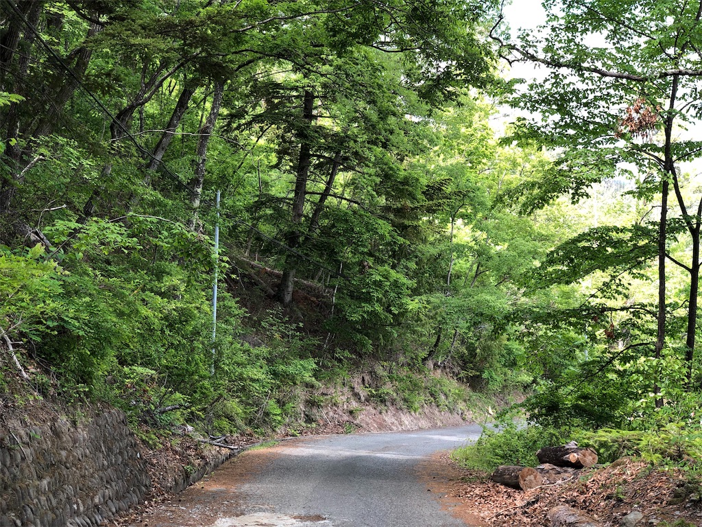 f:id:genko-library:20190520054907j:image
