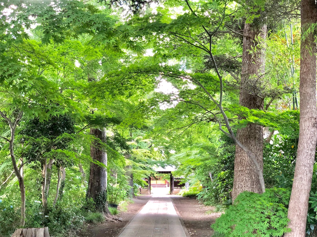 f:id:genko-library:20190618052841j:image