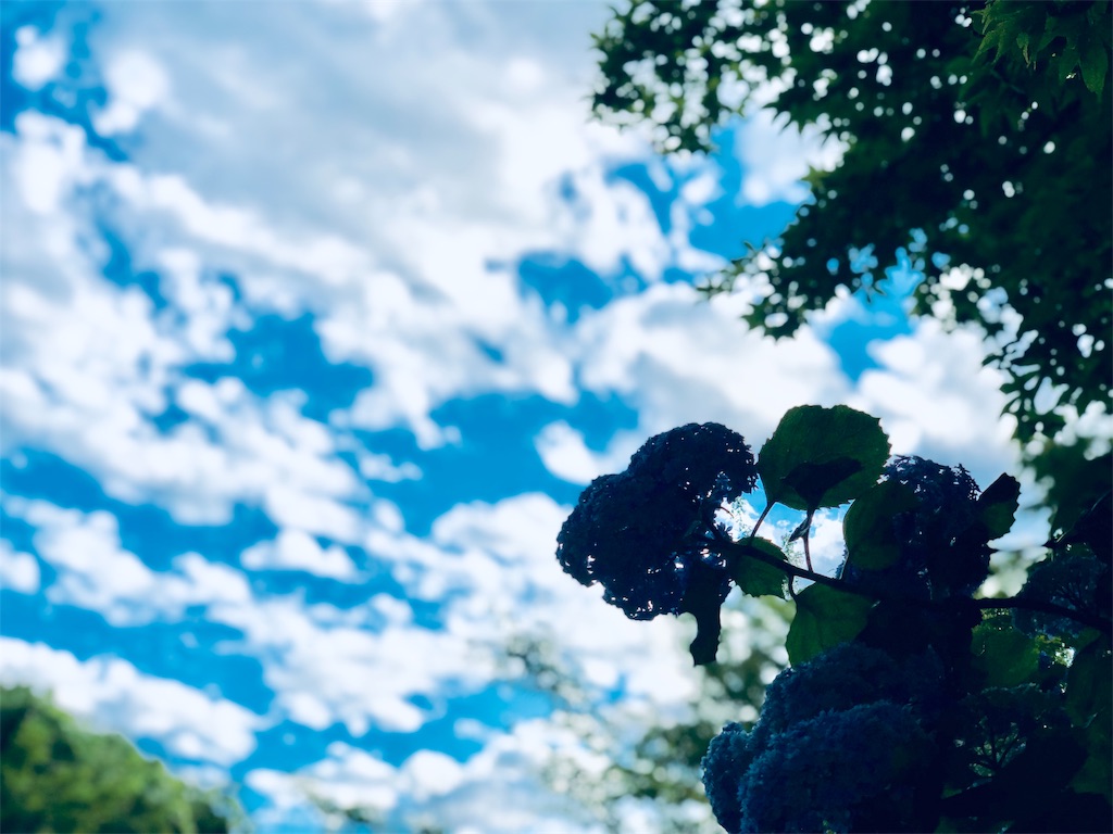 f:id:genko-library:20190618053015j:image