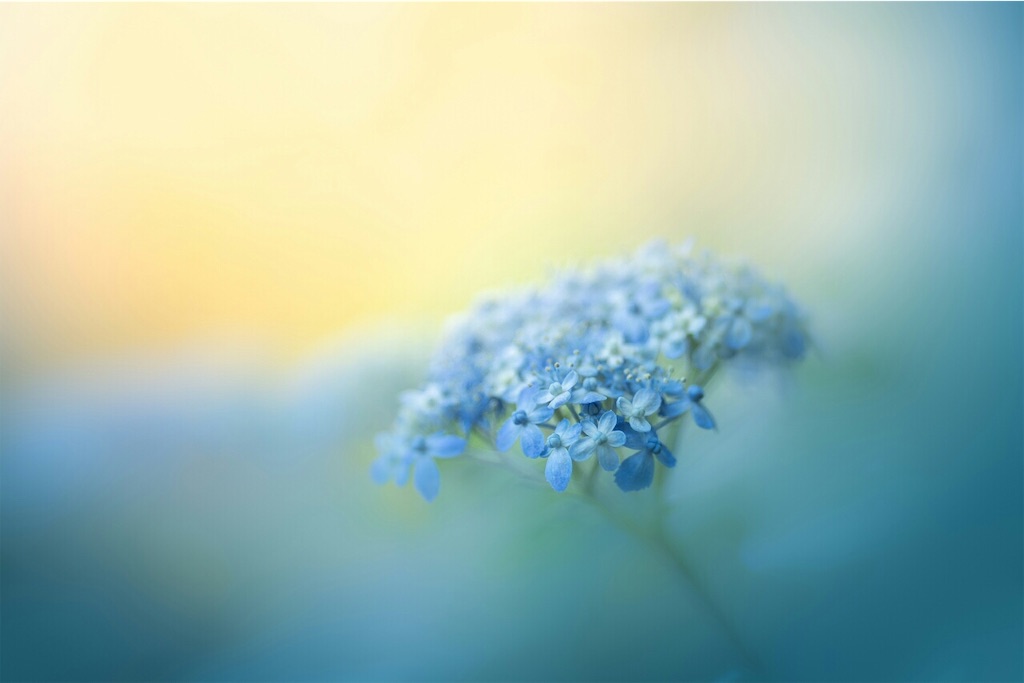 f:id:genko-library:20190618053132j:image