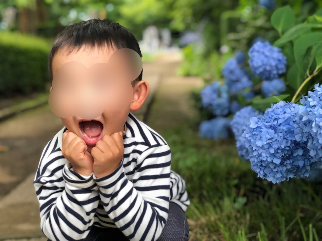 f:id:genko-library:20190618053321j:image