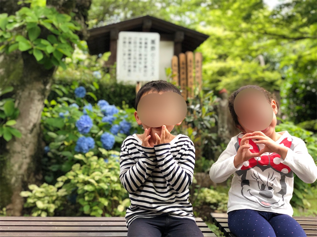 f:id:genko-library:20190618053331j:image
