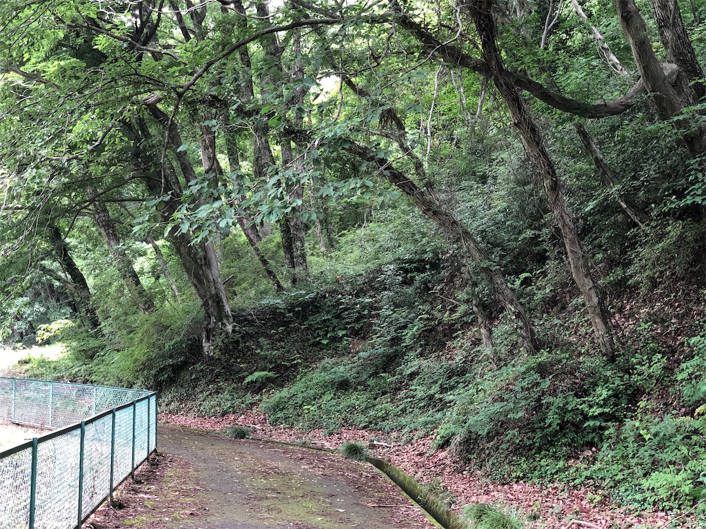f:id:genko-library:20190630054123j:image