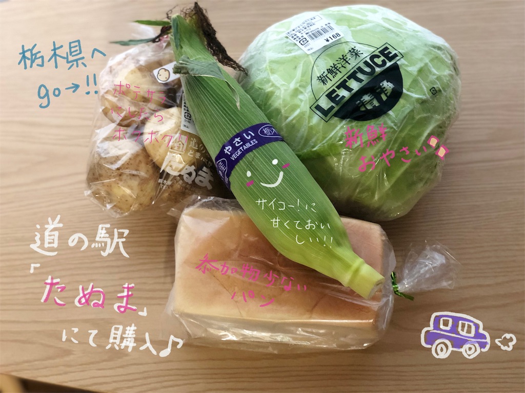 f:id:genko-library:20190630054206j:image