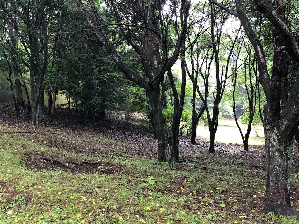 f:id:genko-library:20190630054245j:image