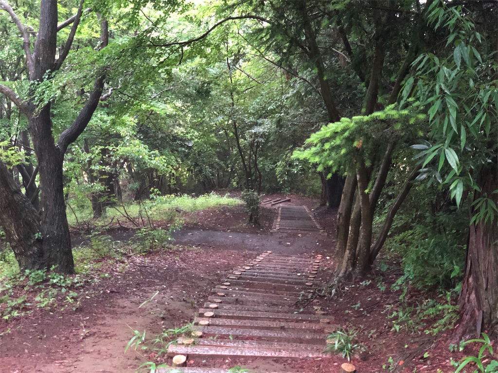 f:id:genko-library:20190630054258j:image