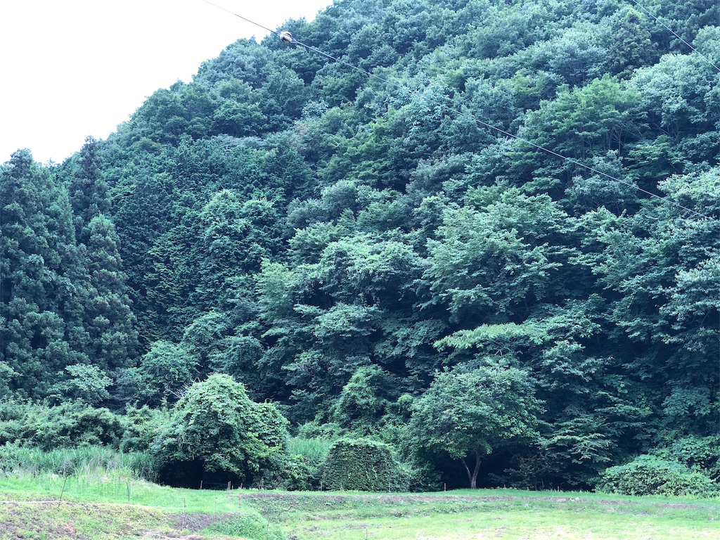 f:id:genko-library:20190714055635j:image