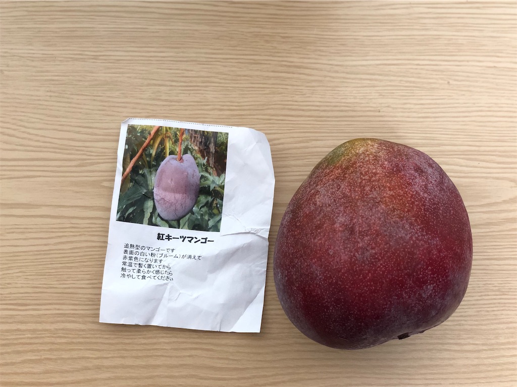 f:id:genko-library:20190801061203j:image