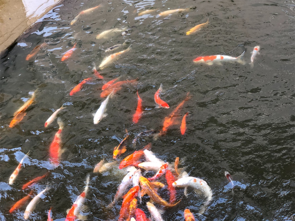 f:id:genko-library:20190808055531j:image