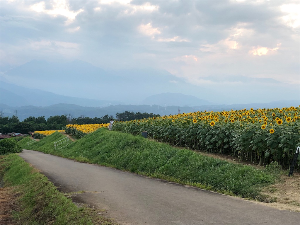 f:id:genko-library:20190810221254j:image