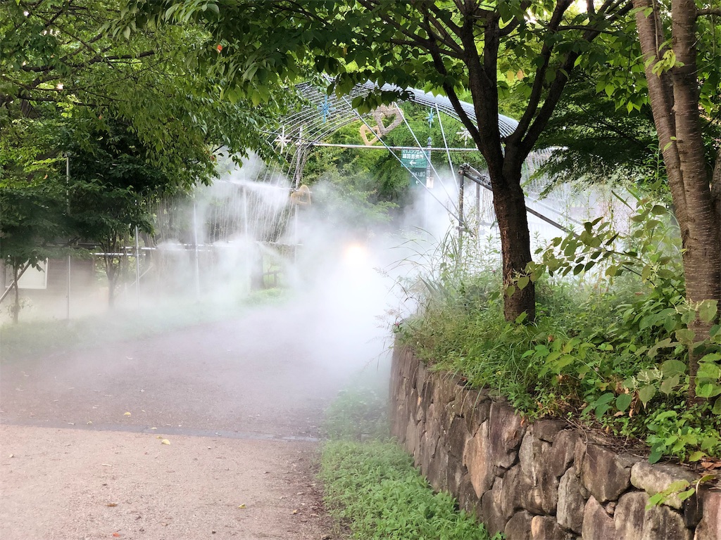 f:id:genko-library:20190811055332j:image
