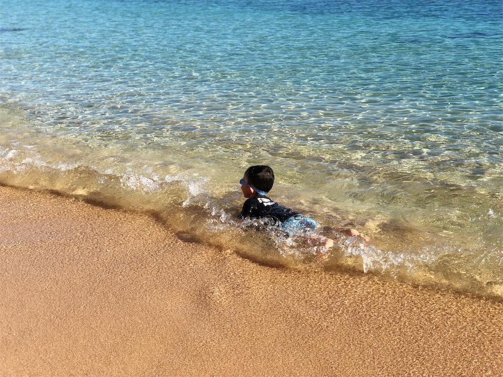 f:id:genko-library:20190814065537j:image