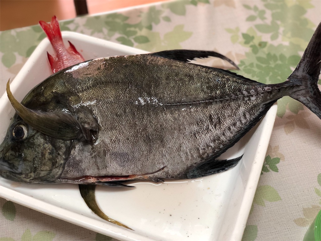 f:id:genko-library:20190814065755j:image