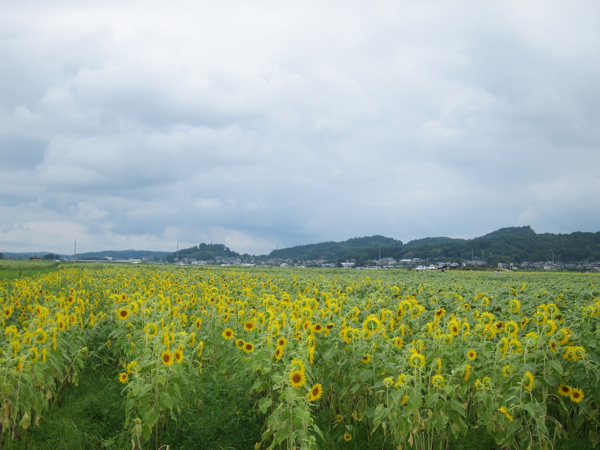 f:id:genko-library:20190818051930j:plain