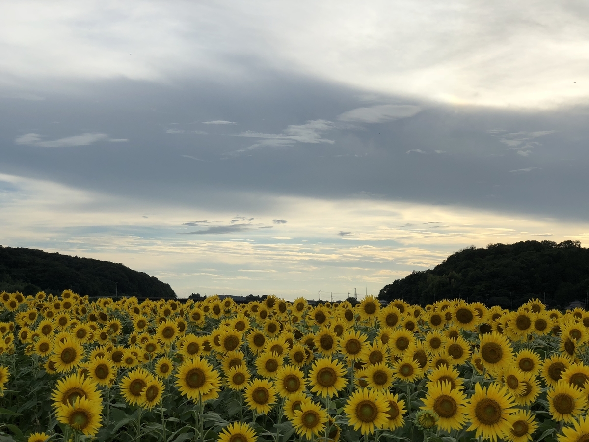 f:id:genko-library:20190818052134j:plain