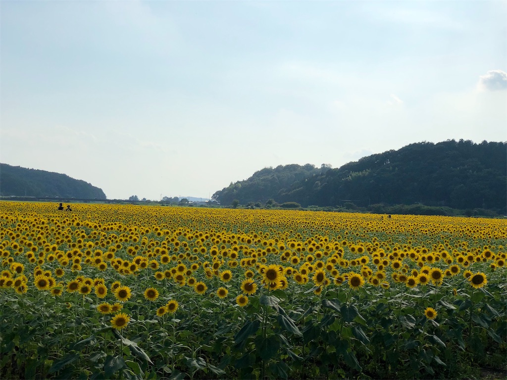 f:id:genko-library:20190818053650j:image