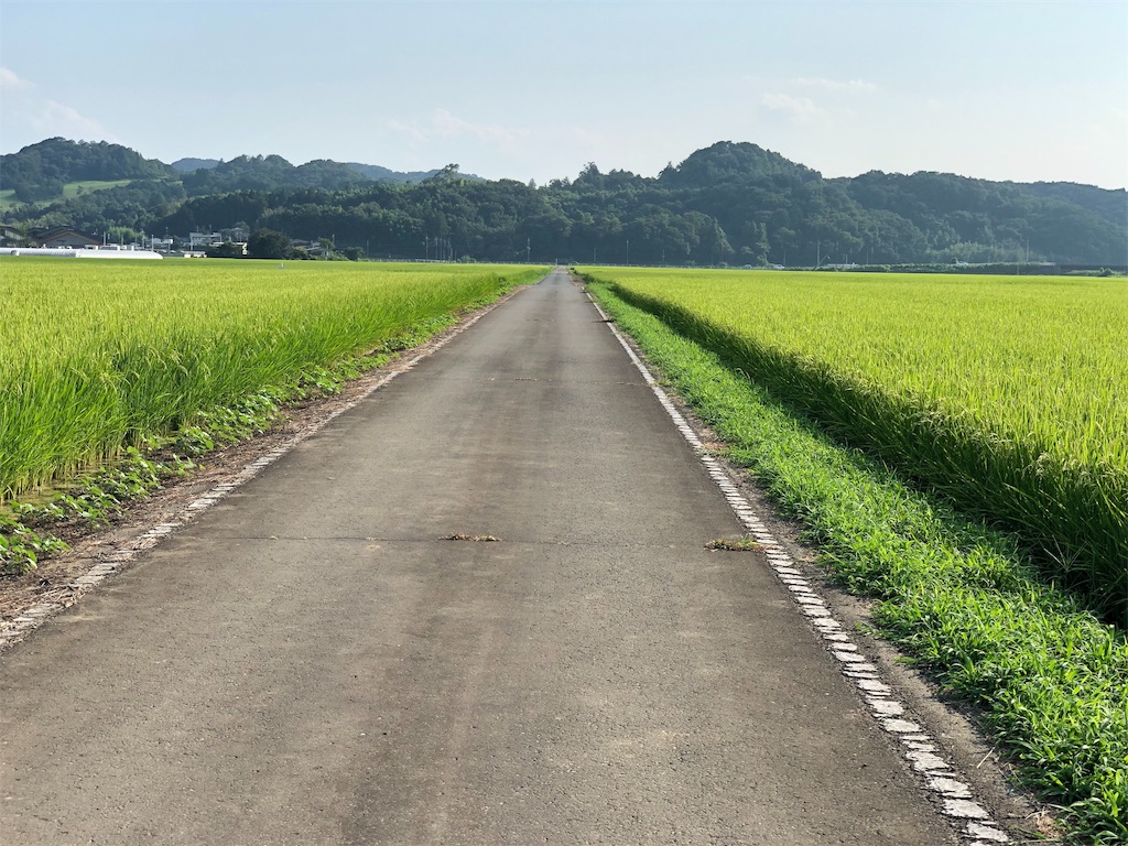 f:id:genko-library:20190818053813j:image