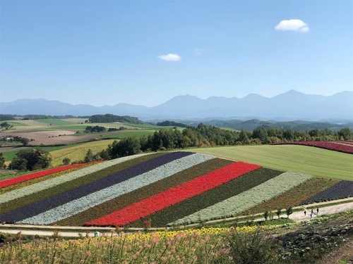 f:id:genko-library:20191004215449j:plain