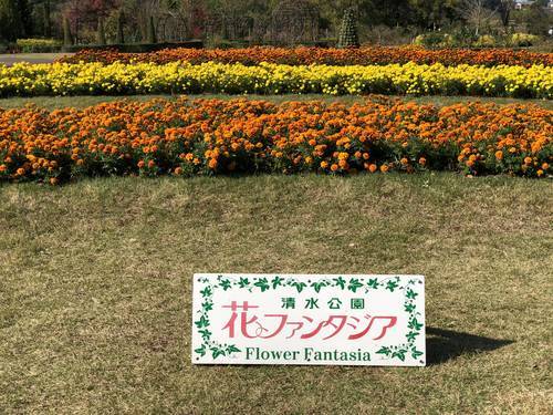 f:id:genko-library:20191109202907j:plain