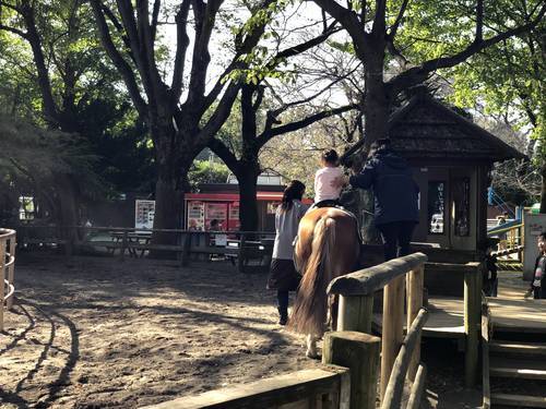 f:id:genko-library:20191109203008j:plain