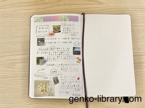 f:id:genko-library:20201108190719j:plain