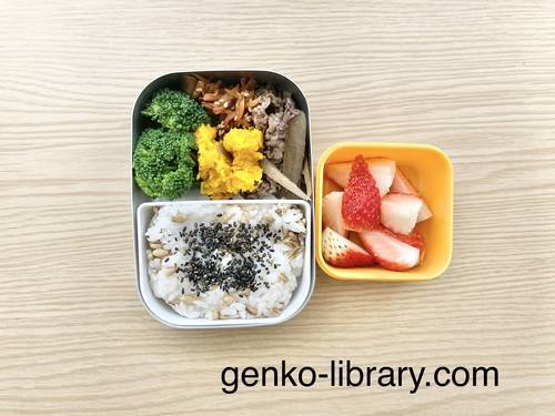 f:id:genko-library:20210202055105j:plain