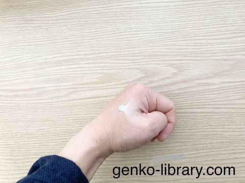 f:id:genko-library:20210216060335j:plain