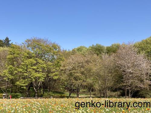 f:id:genko-library:20210411052056j:plain