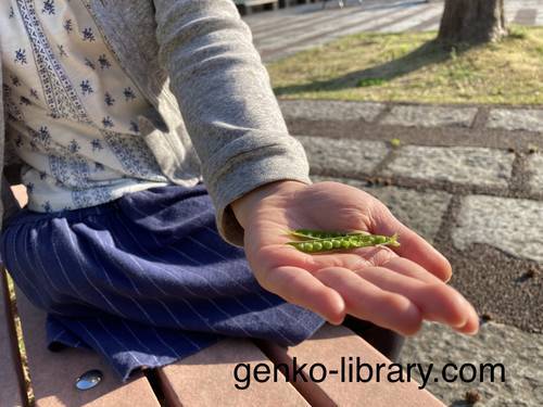 f:id:genko-library:20210411052129j:plain