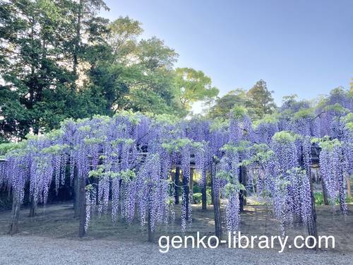 f:id:genko-library:20210423054159j:plain