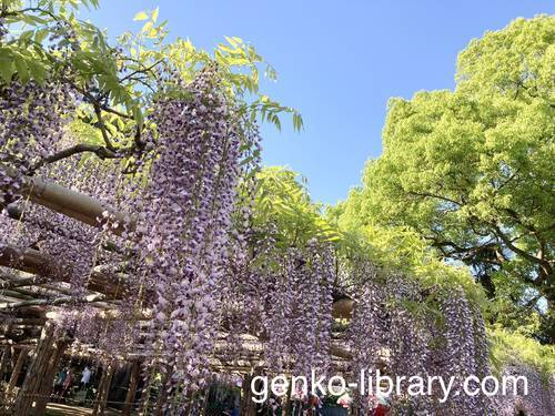f:id:genko-library:20210423054209j:plain