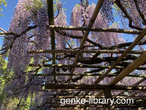 f:id:genko-library:20210423054228j:plain