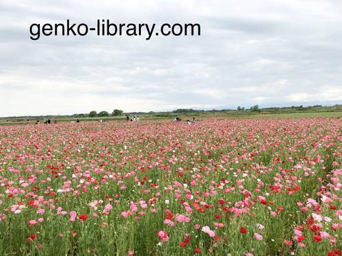 f:id:genko-library:20210518151051j:plain