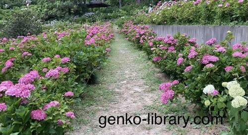 f:id:genko-library:20210614142923j:plain