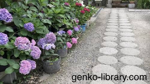 f:id:genko-library:20210614142931j:plain