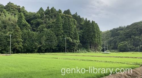 f:id:genko-library:20210614142935j:plain